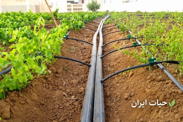 سیستم آبیاری قطره‌ای